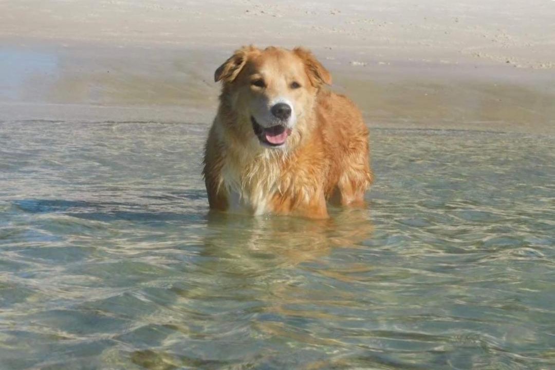 Photo of Others in Shoal Bay