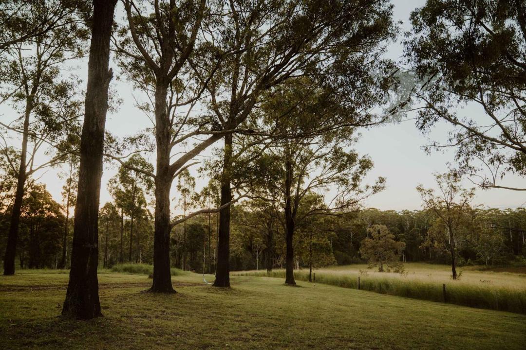 Photo of Others in Rainbow Flat