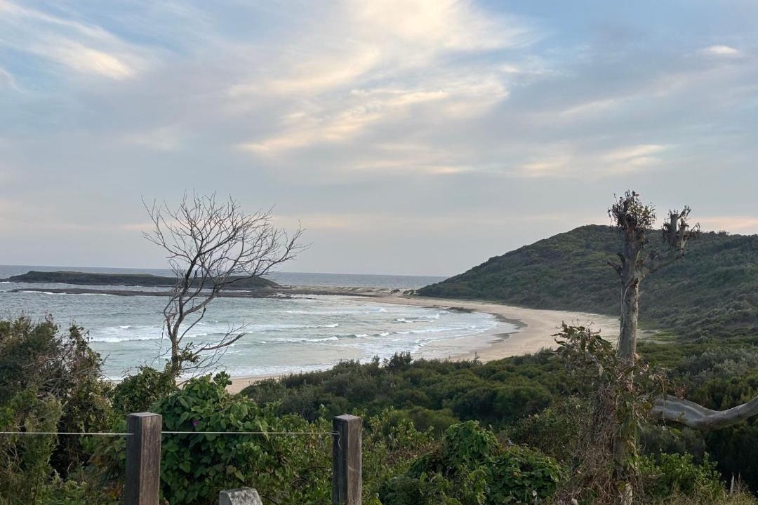 Photo of Others in Catherine Hill Bay
