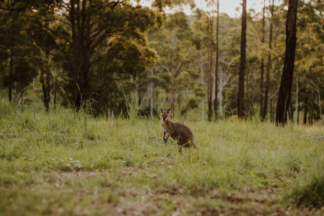Photo of Others in Rainbow Flat