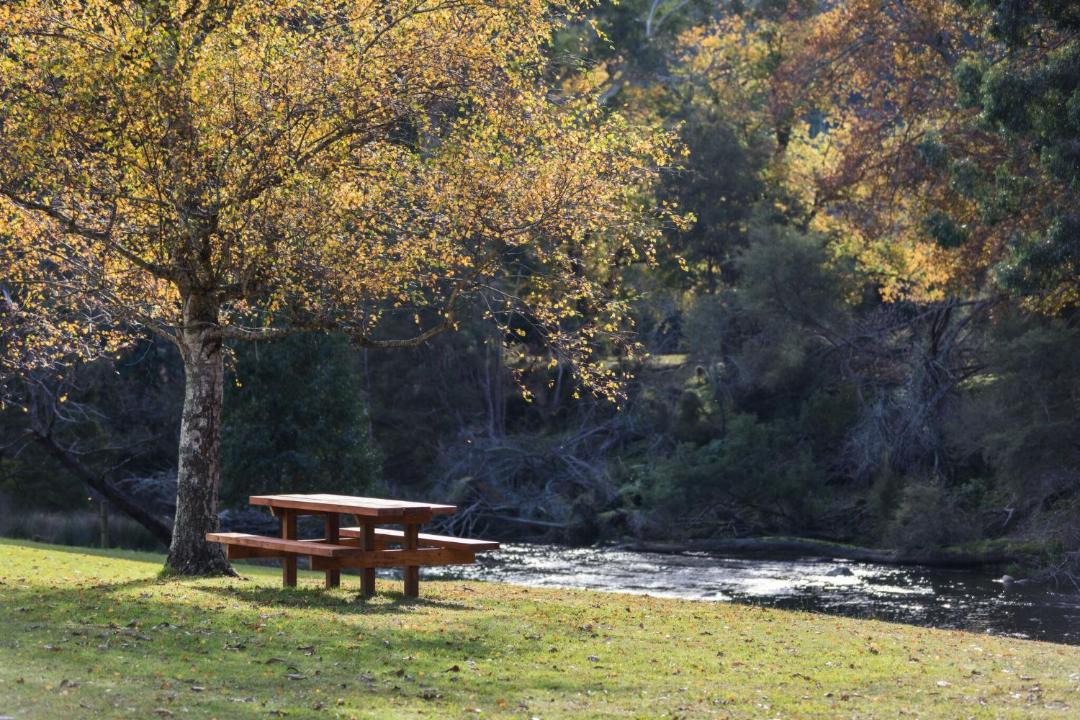 Photo of Others in Warburton