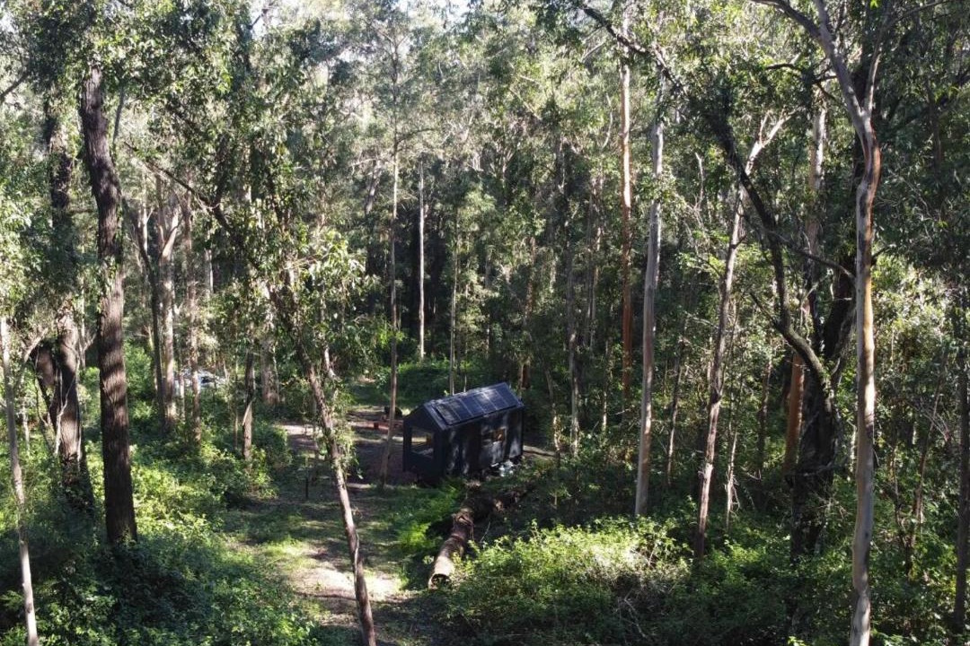 Photo of Others in Main Creek
