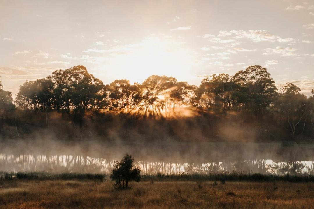 Photo of Others in Rylstone