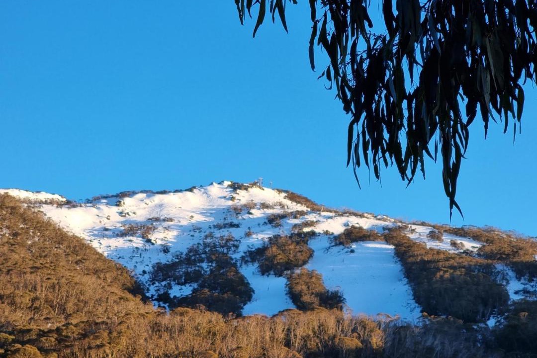 Photo of Others in Thredbo