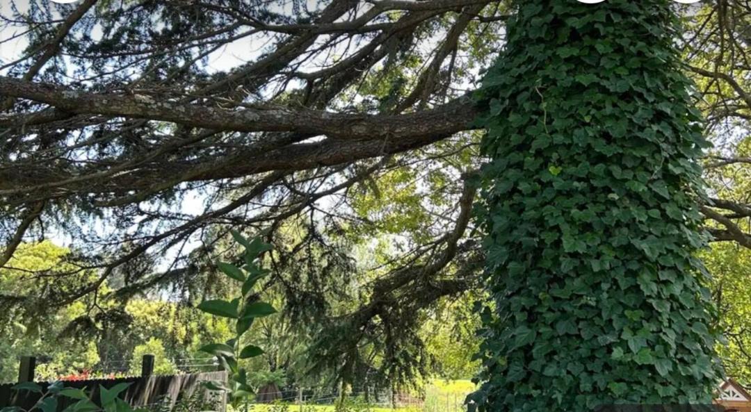 Photo of Others in Bowral