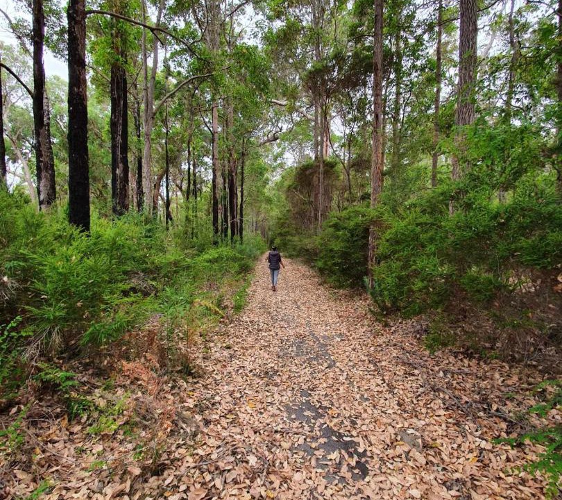 Photo of Others in Yeagarup