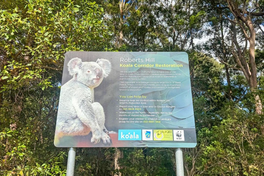 Photo of Others in Coffs Harbour