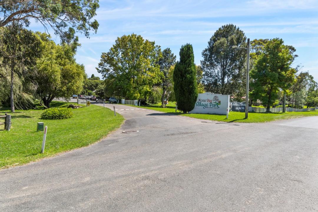 Photo of Others in Moss Vale