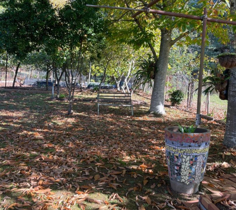 Photo of Others in Noojee