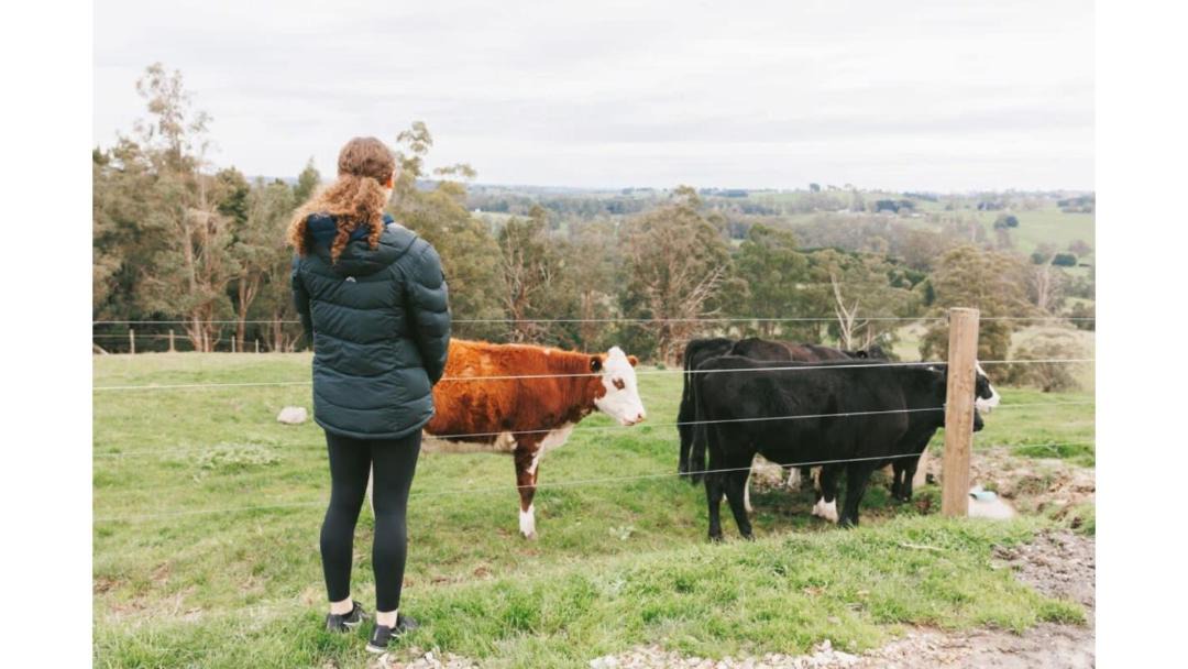 Photo of Others in Neerim South