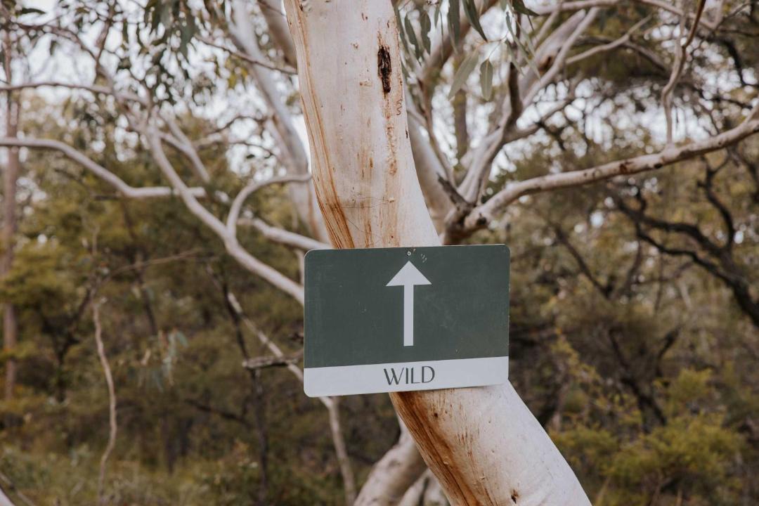 Photo of Others in Dural