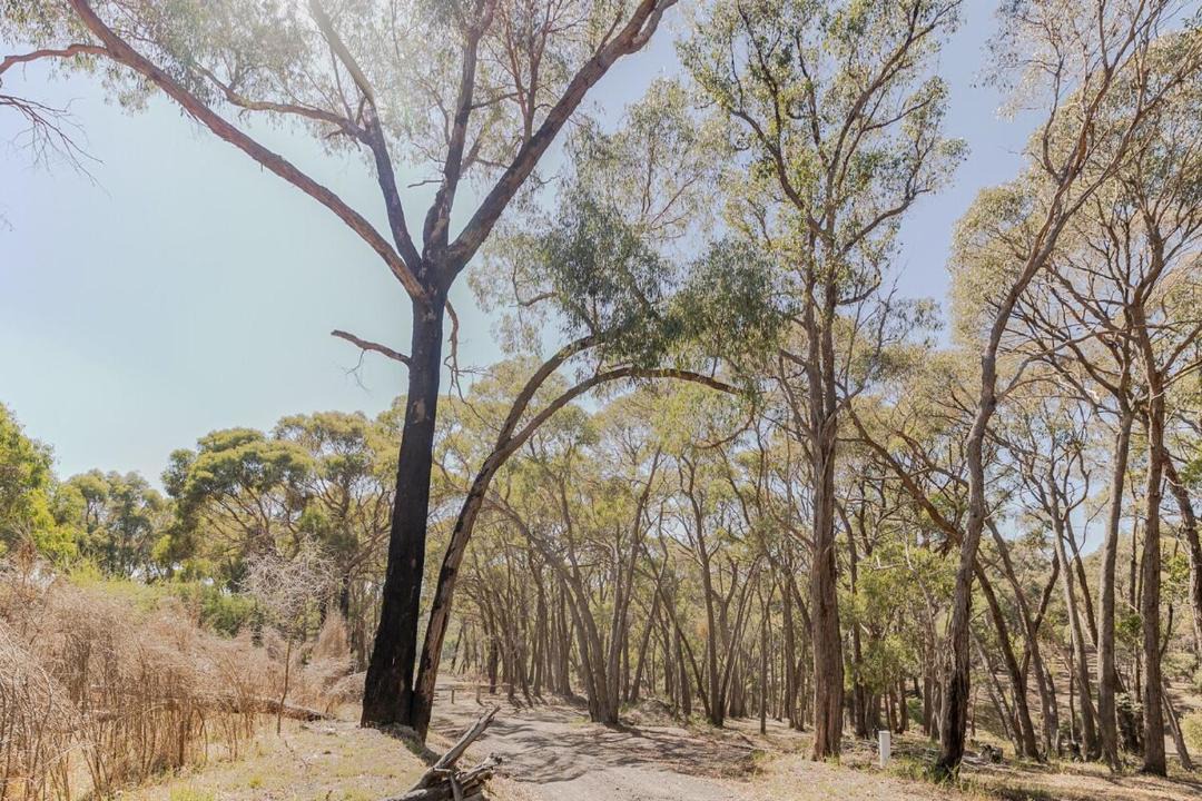 Photo of Others in Daylesford