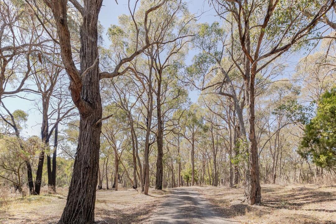 Photo of Others in Daylesford