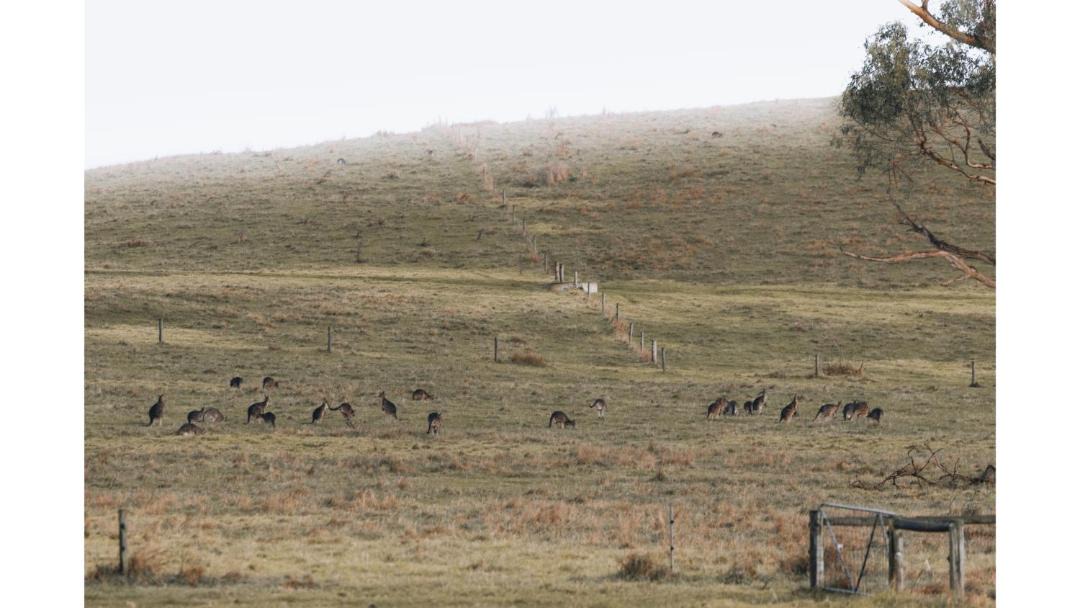 Photo of Others in Alberton West