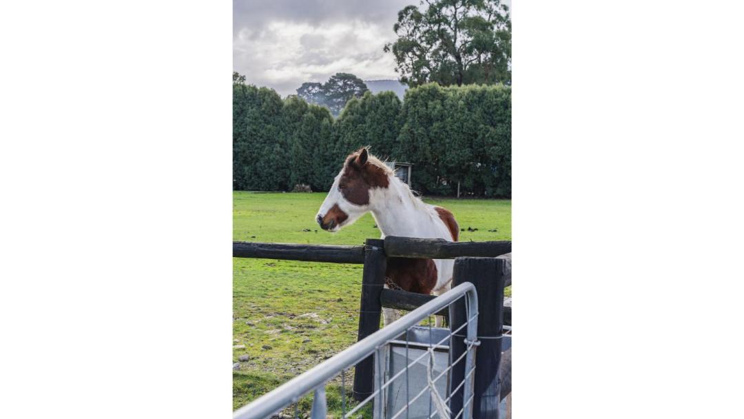 Photo of Others in Yarra Junction