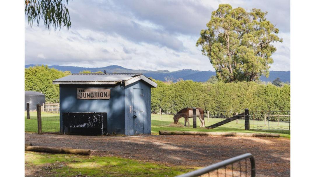 Photo of Others in Yarra Junction