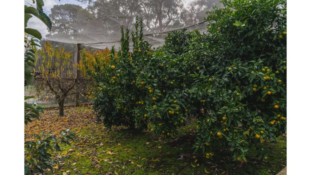 Photo of Others in Yarra Junction
