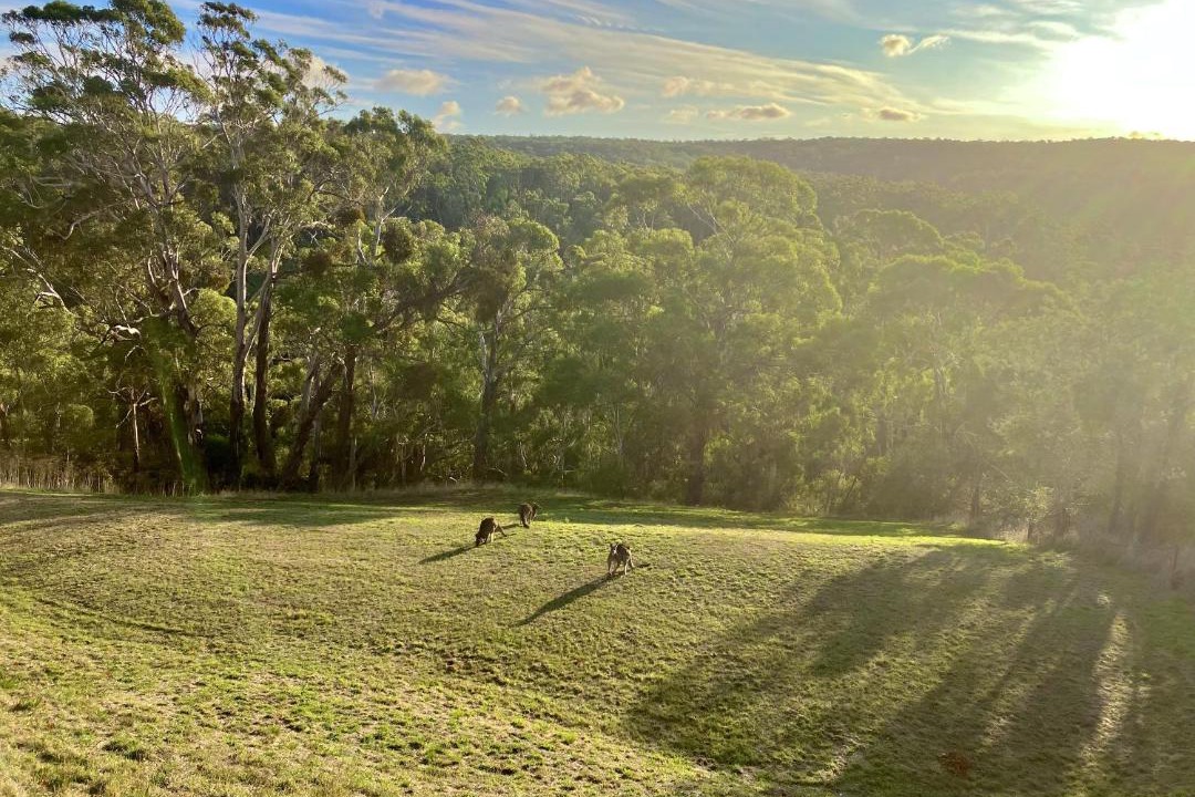Photo of Others in Daylesford