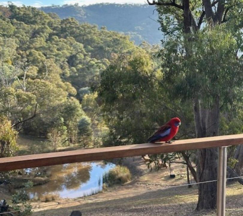 Photo of Others in Eildon