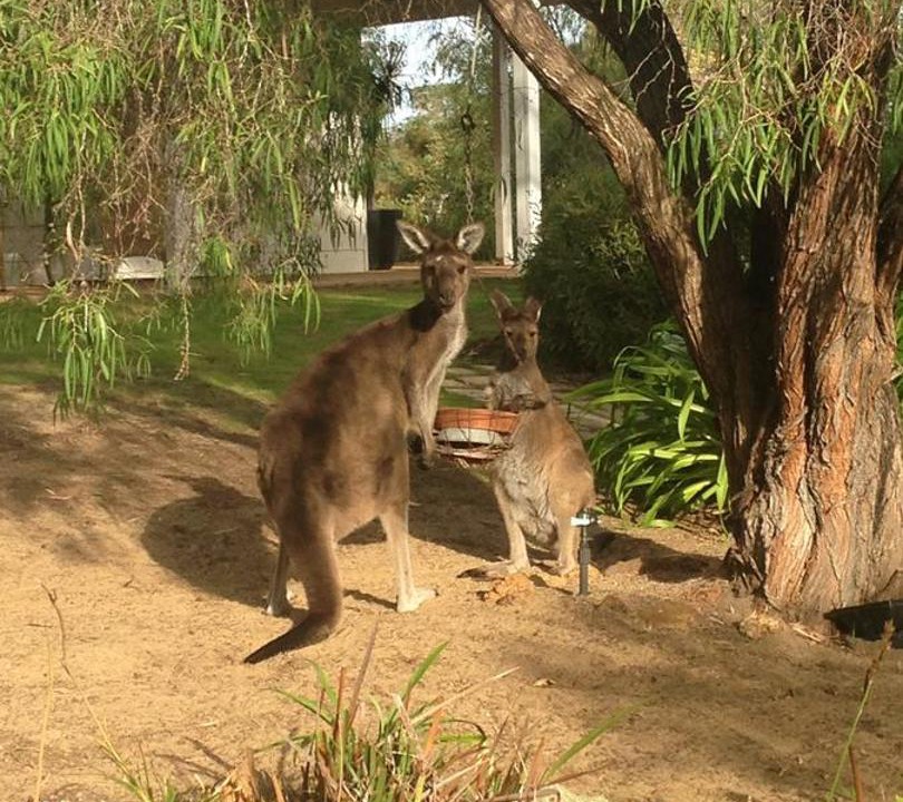 Photo of Others in Margaret River