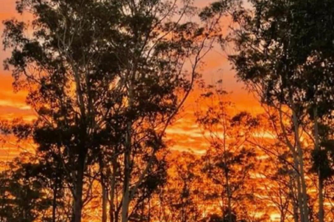 Photo of Others in Verges Creek