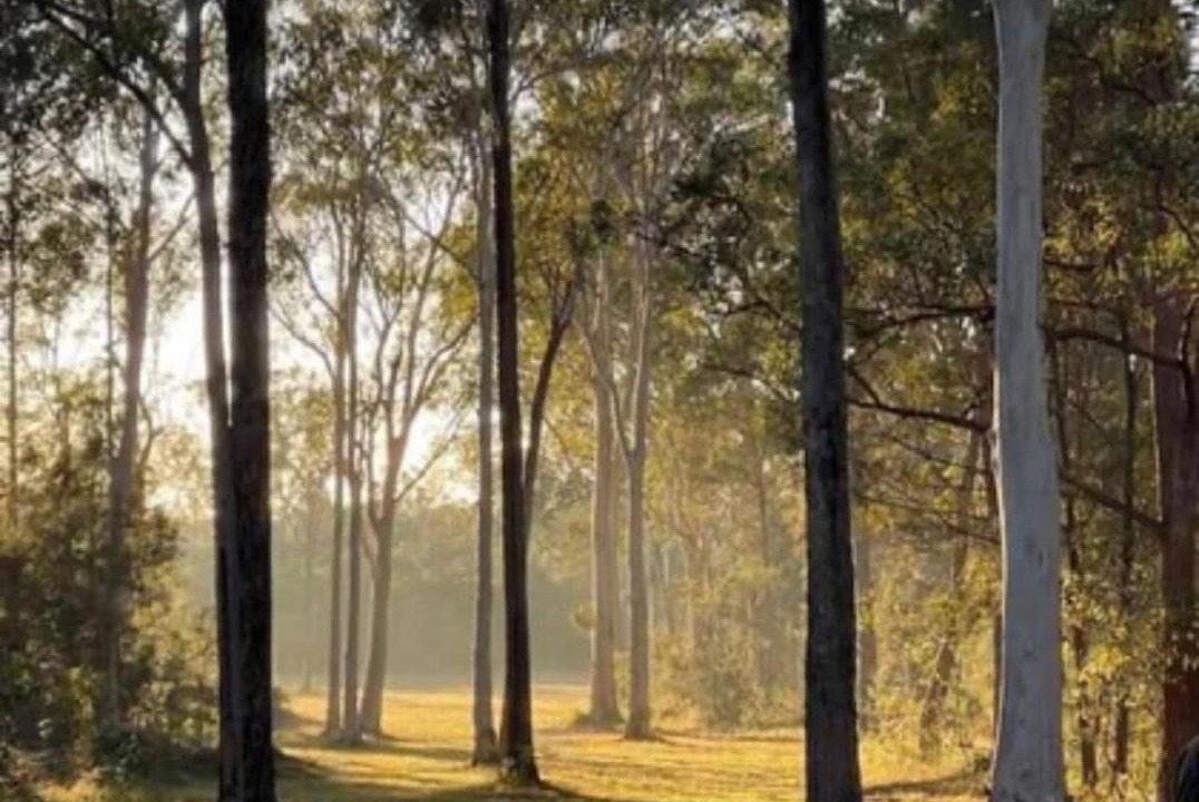 Photo of Others in Verges Creek
