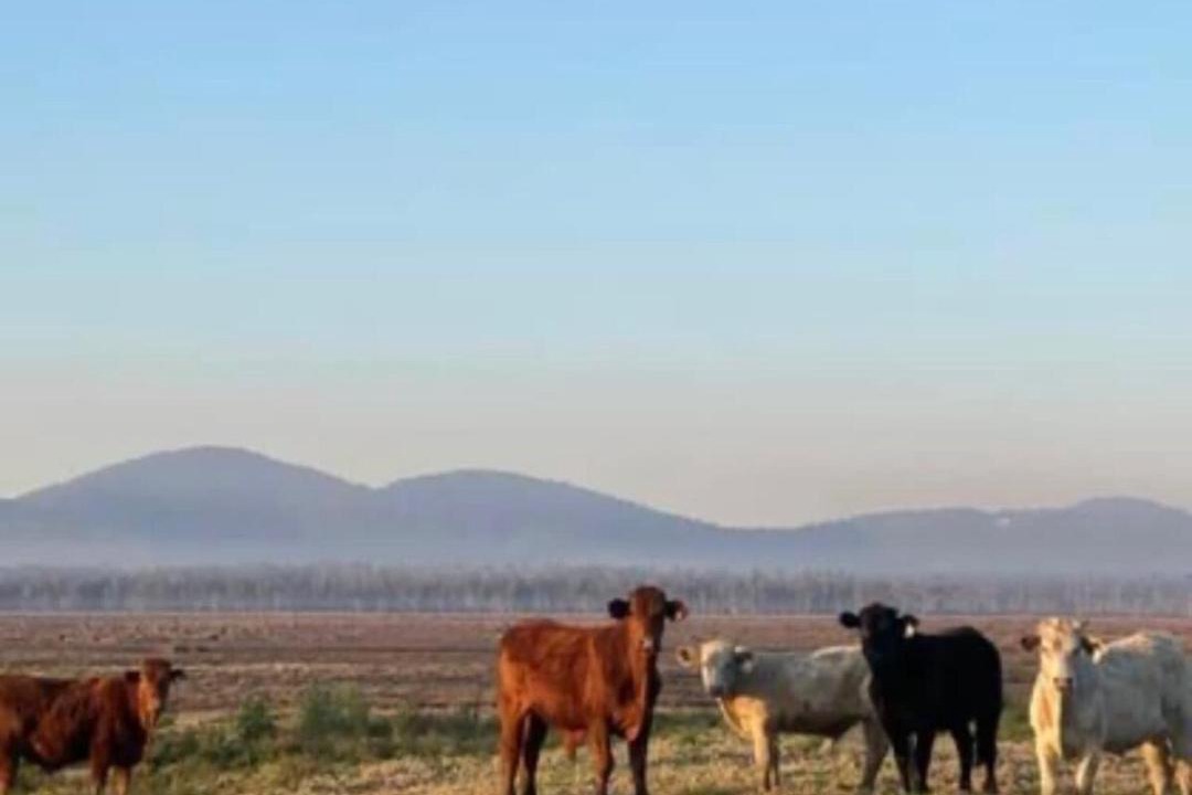Photo of Others in Verges Creek