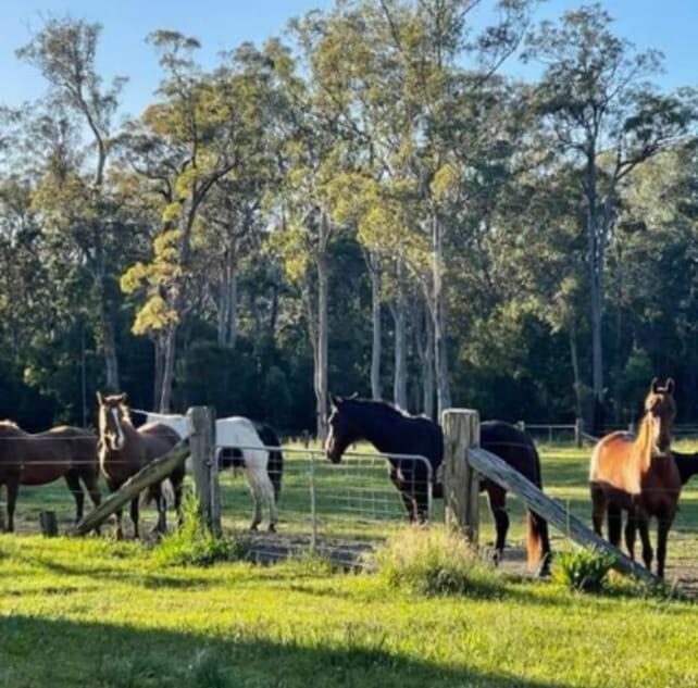Photo of Others in Verges Creek