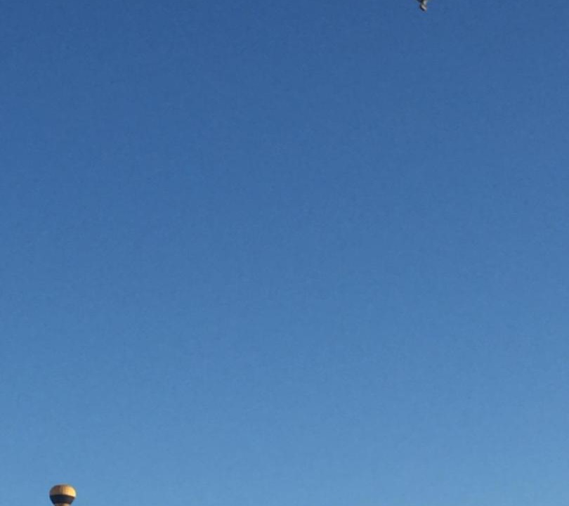 Photo of Others in Hunter Valley