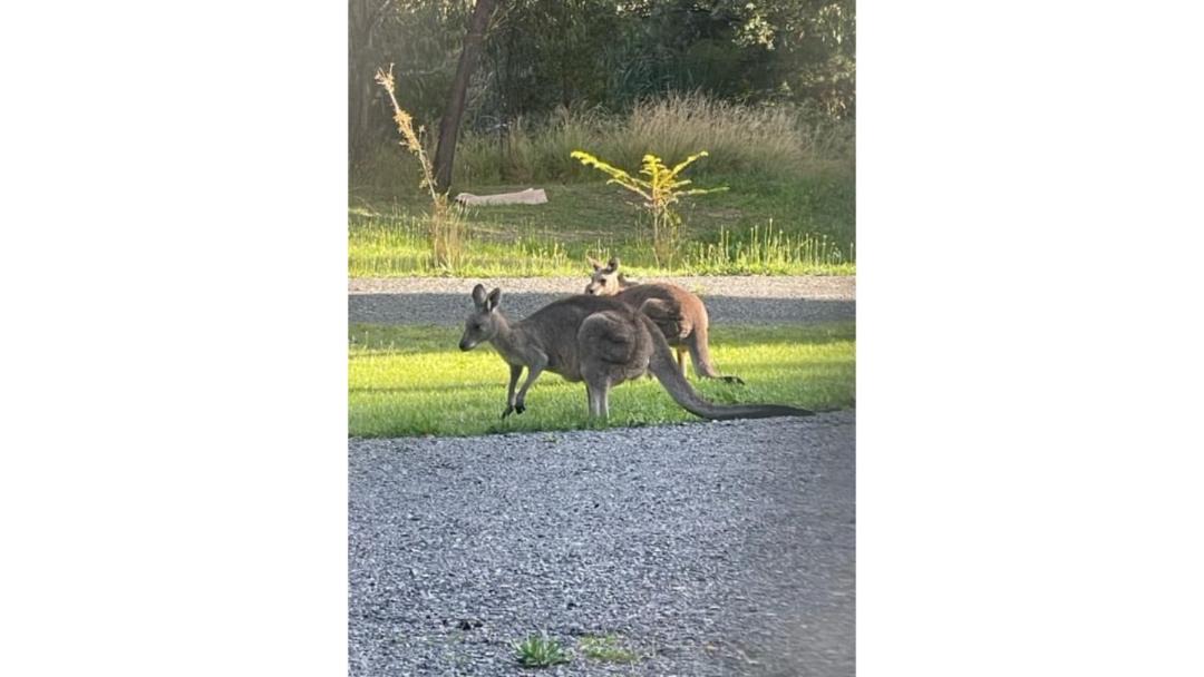 Photo of Others in Sailors Hill