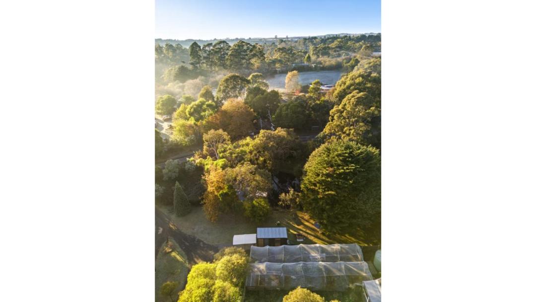 Photo of Others in Sailors Hill