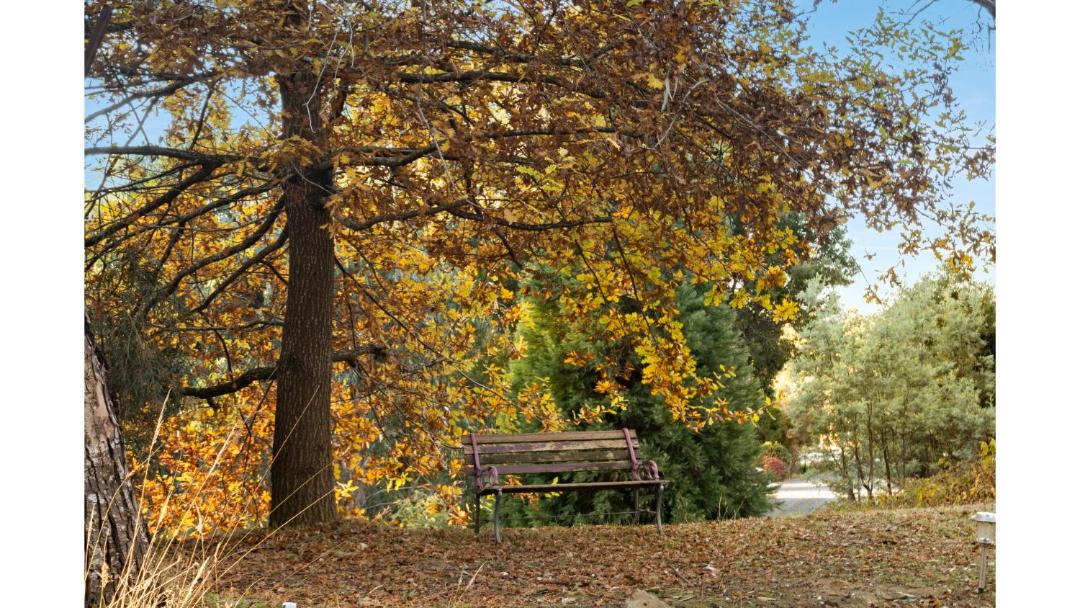 Photo of Others in Sailors Hill