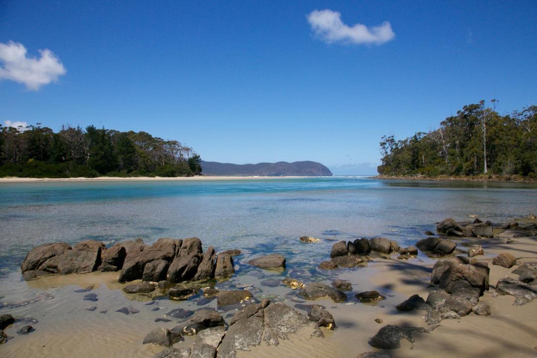 Photo of Others in South Bruny