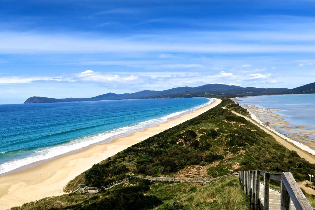 Photo of Others in South Bruny