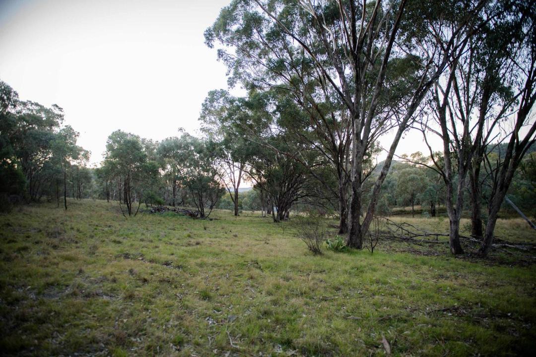 Photo of Others in Coonabarabran