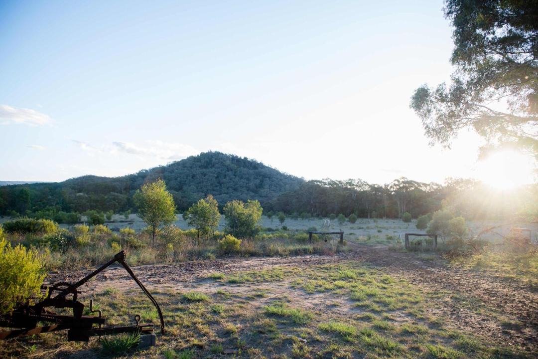 Photo of Others in Coonabarabran