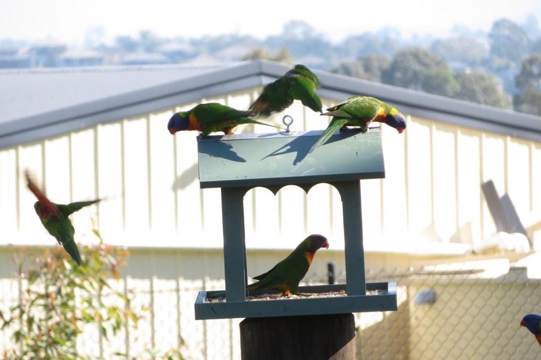 Photo of Others in Louth Park