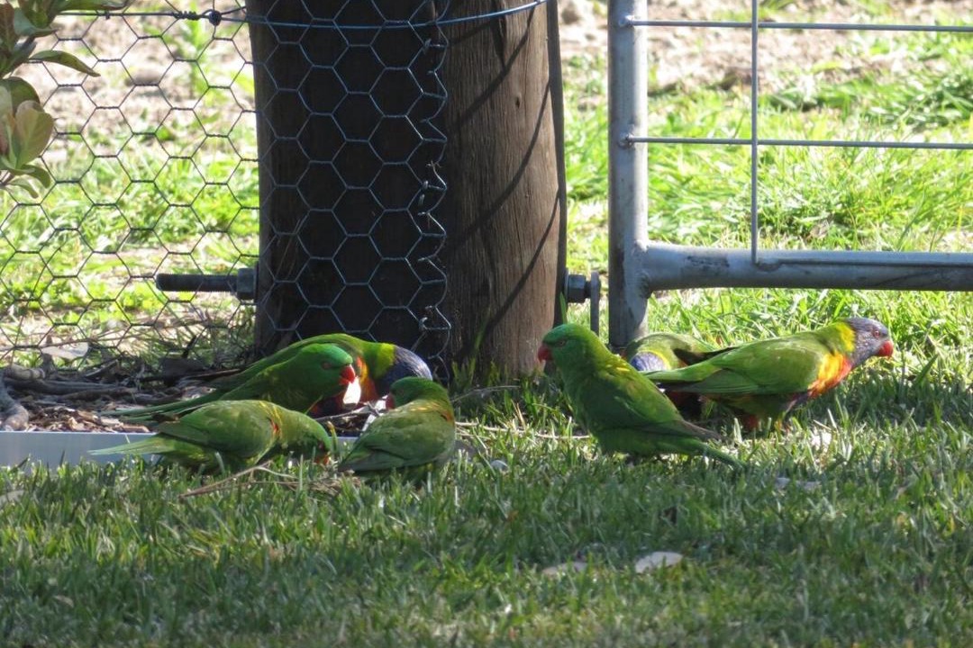 Photo of Others in Louth Park