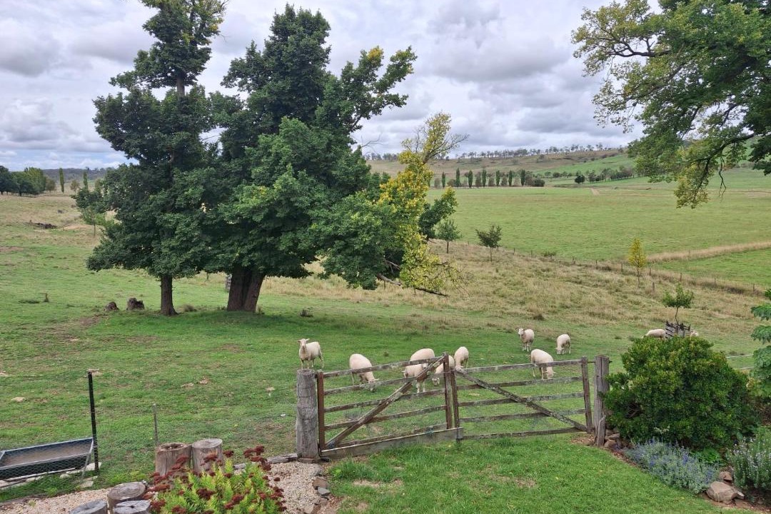 Photo of Others in Walcha