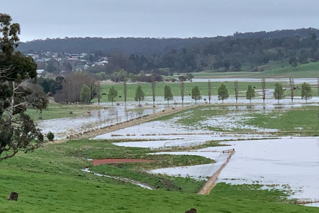 Photo of Others in Walcha