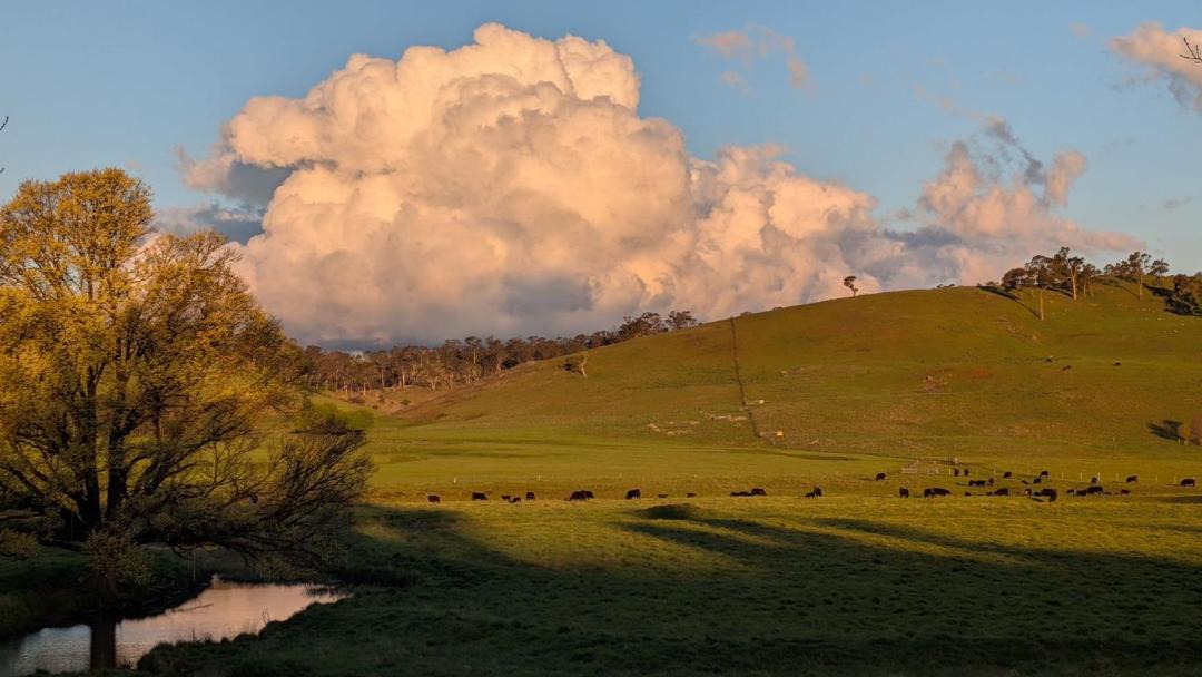 Photo of Others in Walcha