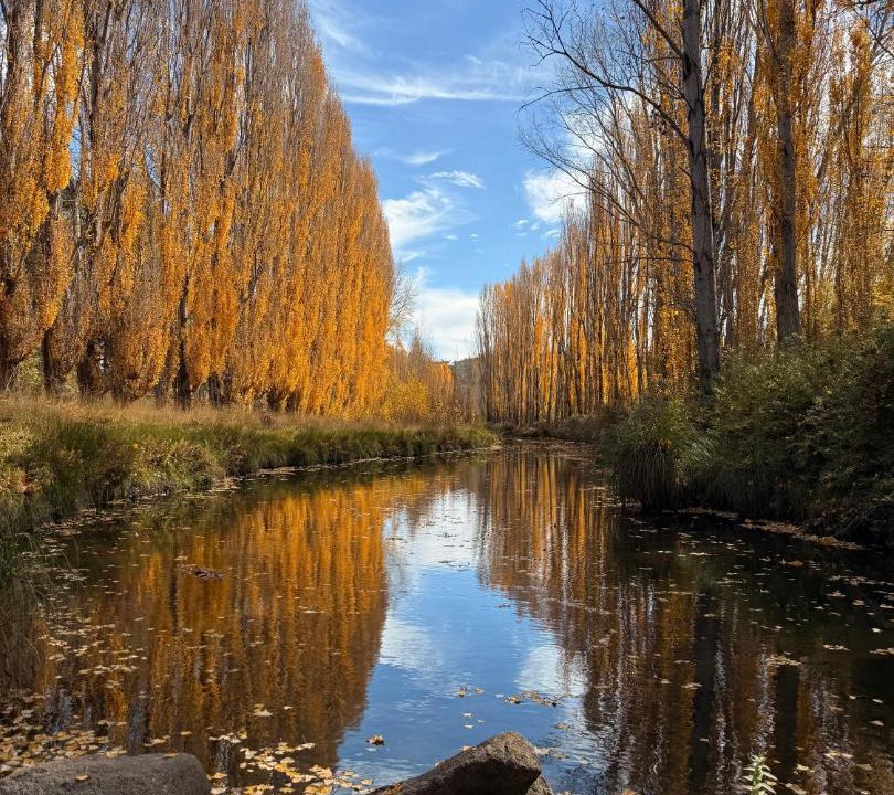 Photo of Others in Jindabyne