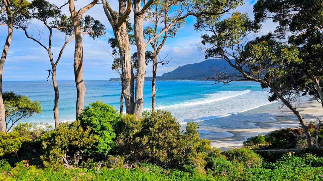 Photo of Others in Eaglehawk Neck