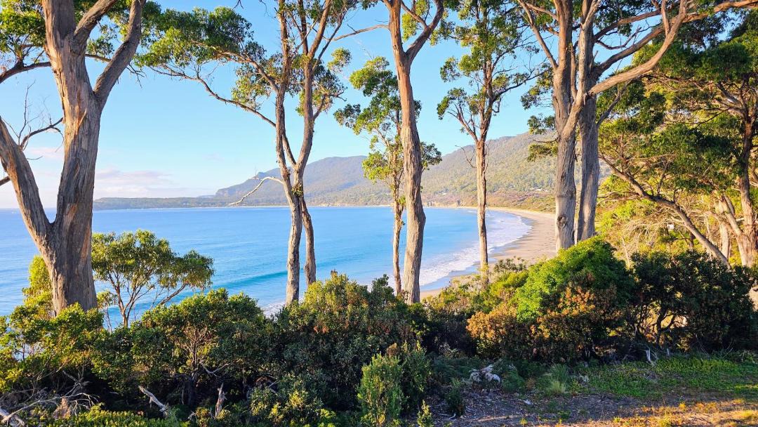 Photo of Others in Eaglehawk Neck