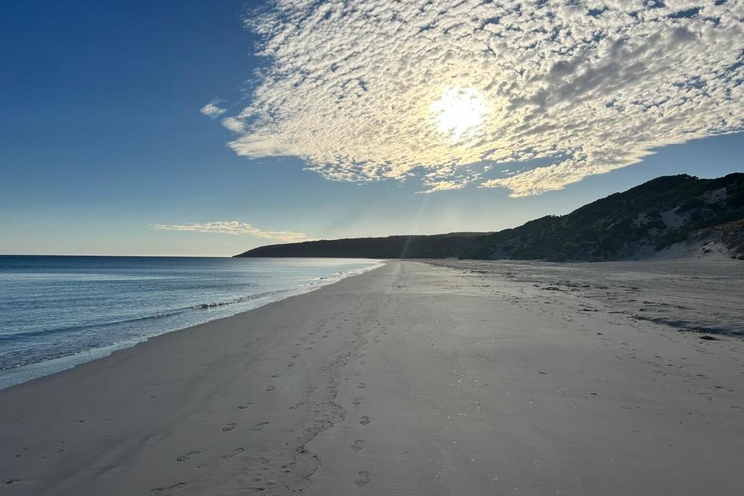Photo of Others in Emu Bay