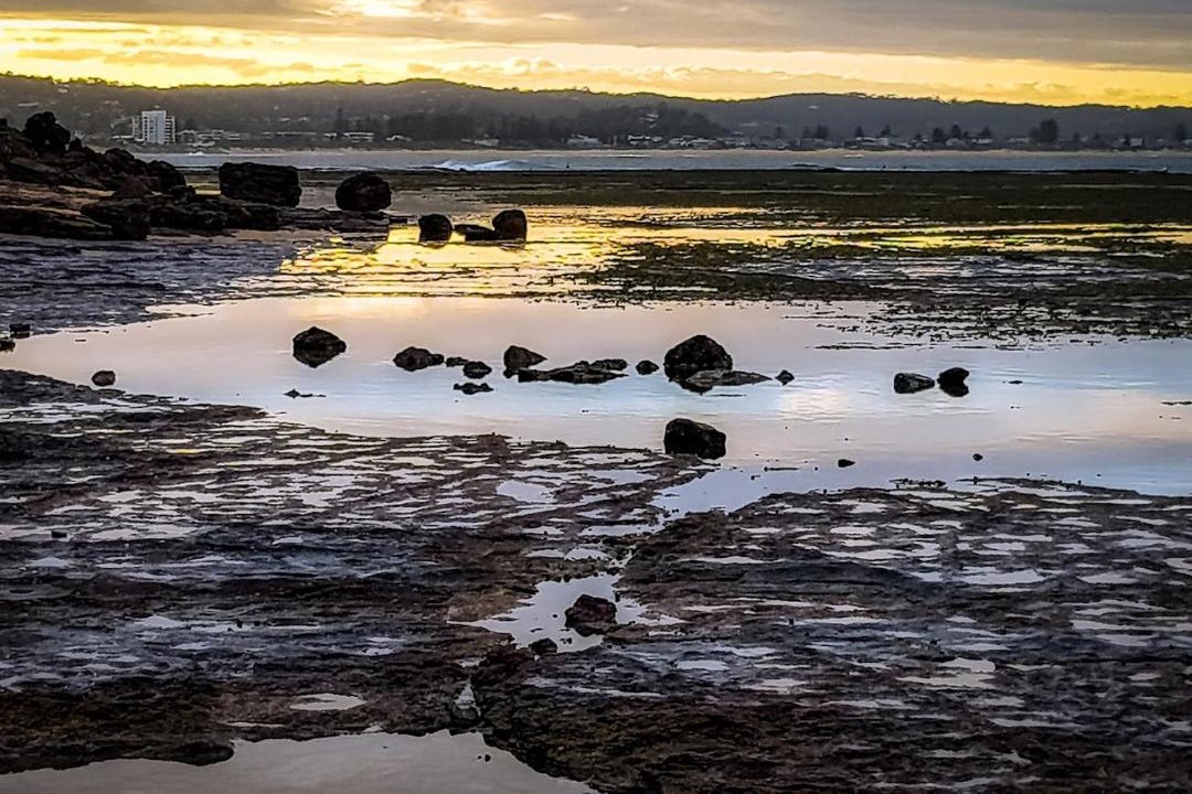 Photo of Others in Collaroy