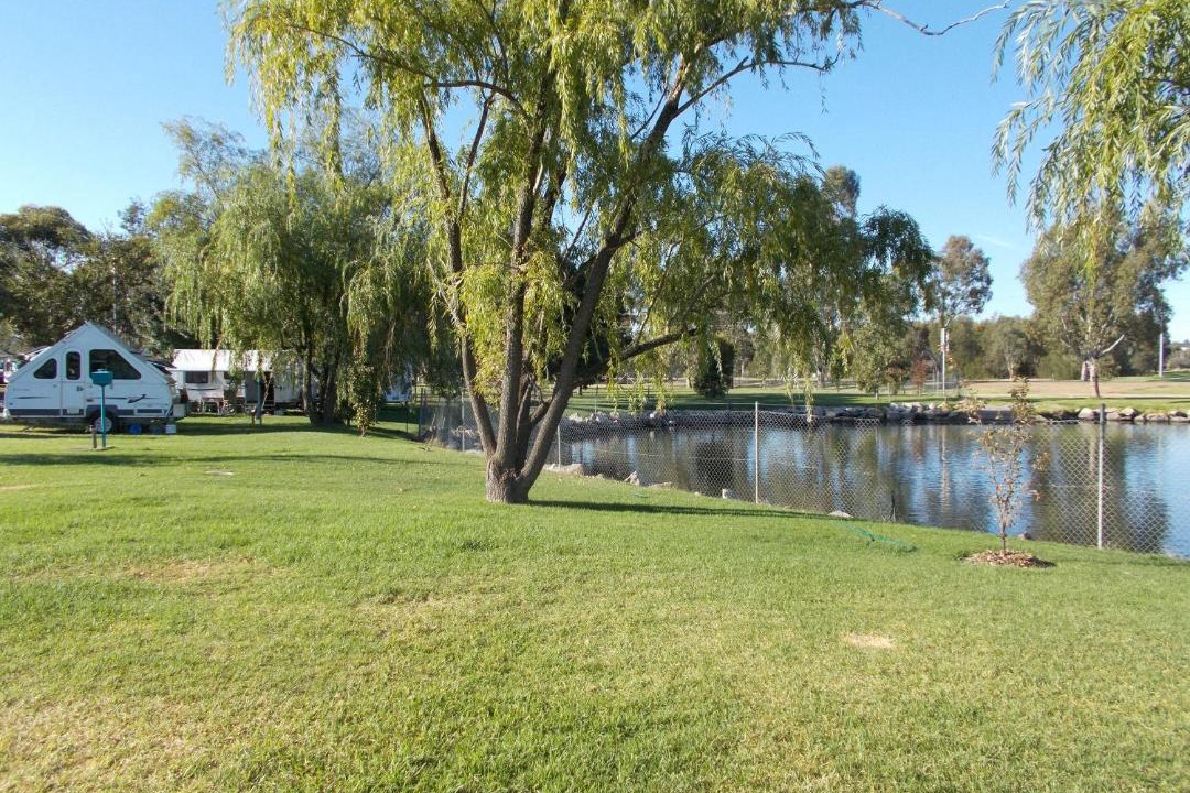 Photo of Others in Junee