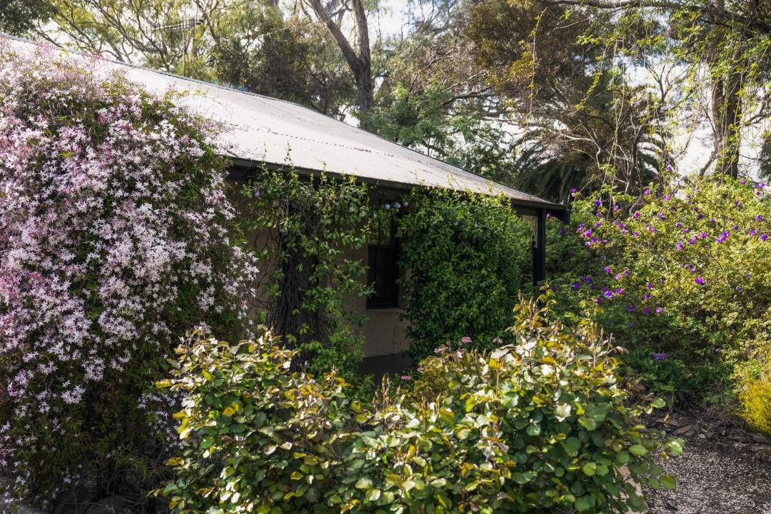 Photo of Others in Lyndoch