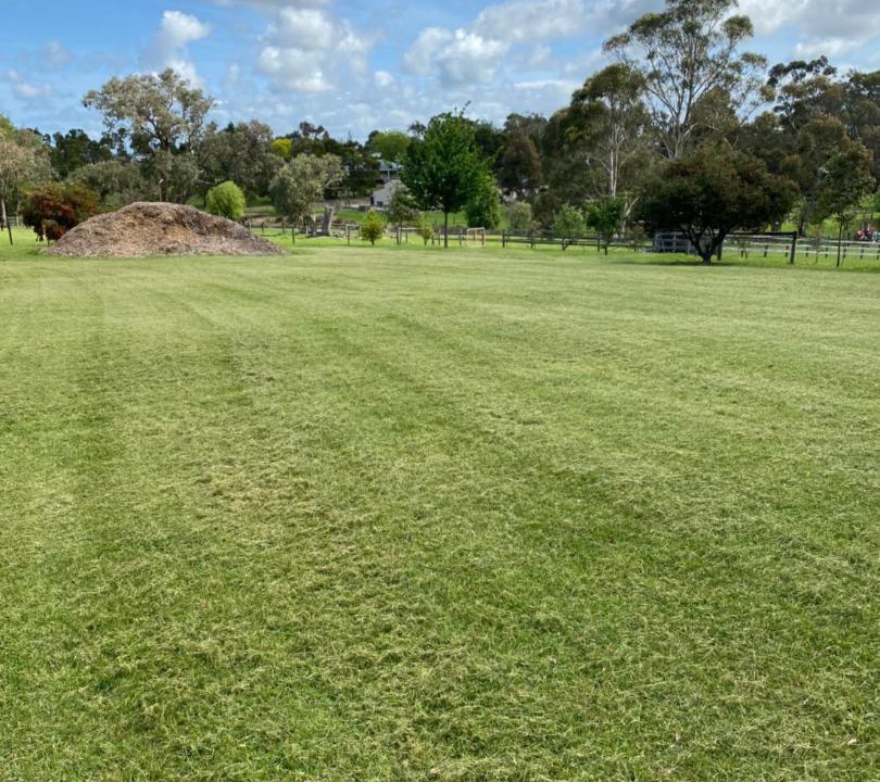 Photo of Others in Langwarrin South
