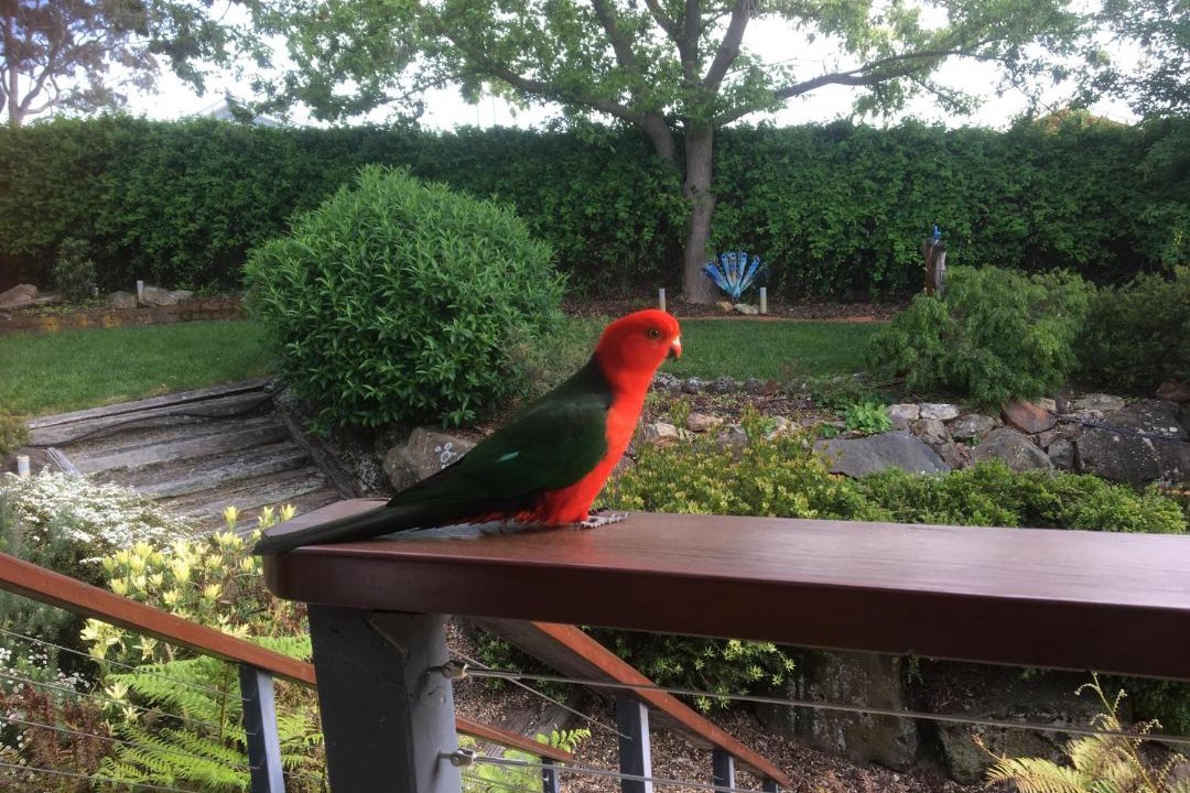 Photo of Others in Orange East